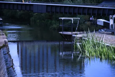 DSC_1709 (Large).JPG